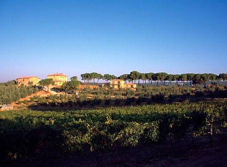 Villa Il Tesoro Massa Marittima Luaran gambar